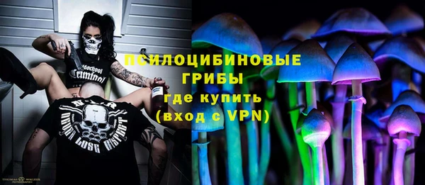 PSILOCYBIN Нея