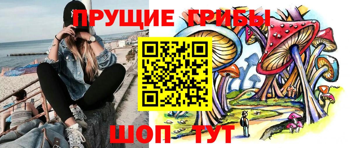 Псилоцибиновые грибы ЛСД  Псилоцибиновые грибы Psilocybe  Невинномысск 