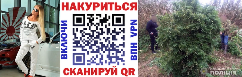 как найти   Невинномысск  МАРИХУАНА SATIVA & INDICA 